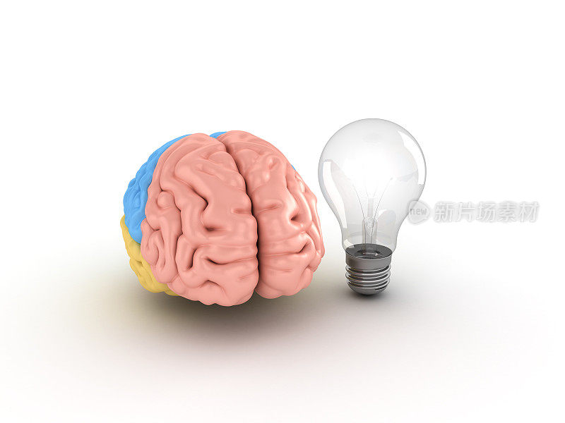 人脑与灯泡- 3D渲染